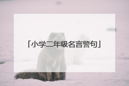 小学二年级名言警句