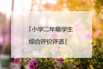 小学二年级学生综合评价评语