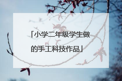 小学二年级学生做的手工科技作品