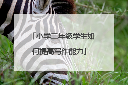 小学二年级学生如何提高写作能力