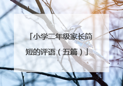 小学二年级家长简短的评语（五篇）