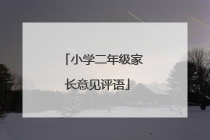 小学二年级家长意见评语