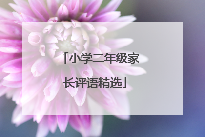 小学二年级家长评语精选
