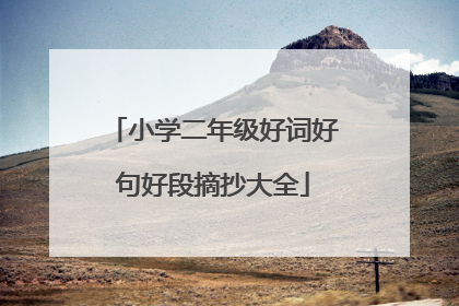 小学二年级好词好句好段摘抄大全