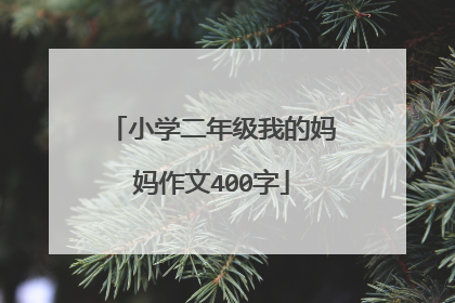 小学二年级我的妈妈作文400字