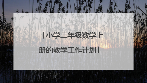 小学二年级数学上册的教学工作计划
