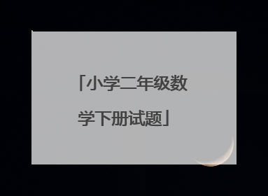 小学二年级数学下册试题