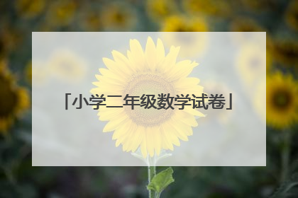 小学二年级数学试卷