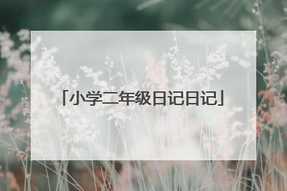 小学二年级日记日记