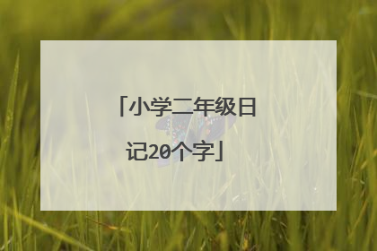 小学二年级日记20个字