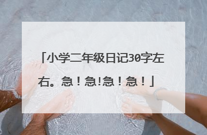 小学二年级日记30字左右。急!急!急!急!