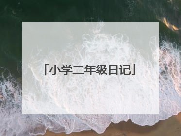 小学二年级日记