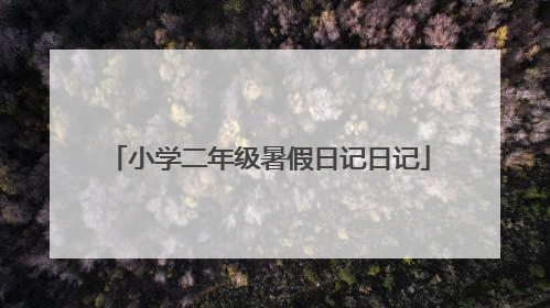 小学二年级暑假日记日记