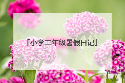 小学二年级暑假日记