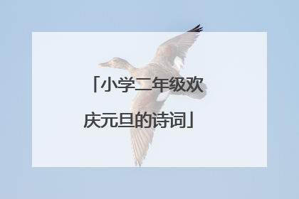小学二年级欢庆元旦的诗词