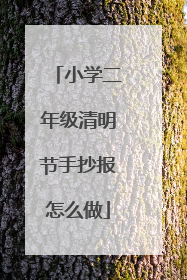 小学二年级清明节手抄报怎么做