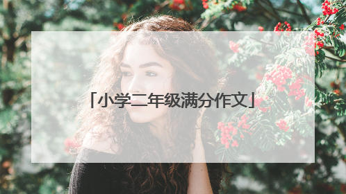 小学二年级满分作文