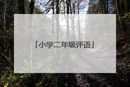 小学二年级评语