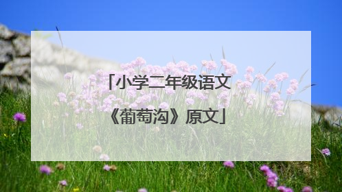 小学二年级语文《葡萄沟》原文