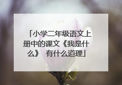 小学二年级语文上册中的课文《我是什么》 有什么道理