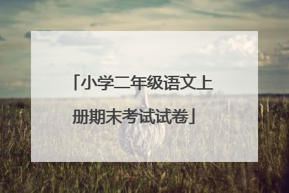 小学二年级语文上册期末考试试卷