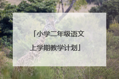 小学二年级语文上学期教学计划