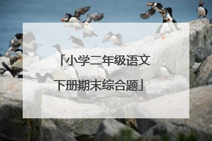 小学二年级语文下册期末综合题