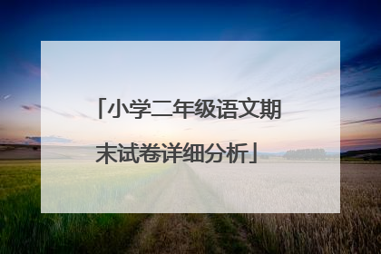 小学二年级语文期末试卷详细分析