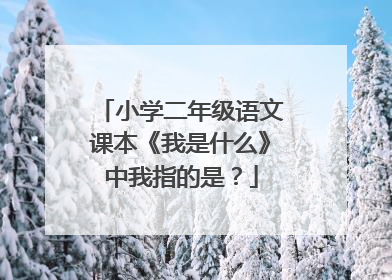 小学二年级语文课本《我是什么》中我指的是？