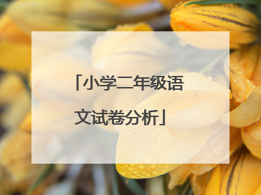 小学二年级语文试卷分析
