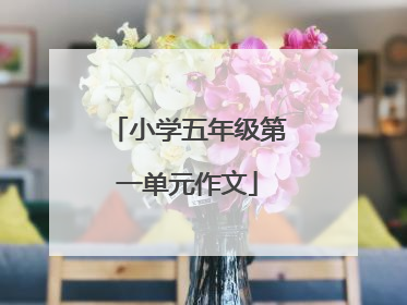 小学五年级第一单元作文