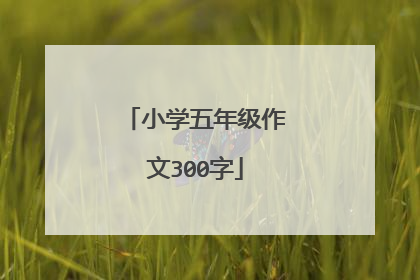小学五年级作文300字