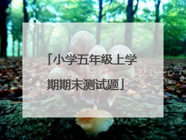 小学五年级上学期期末测试题