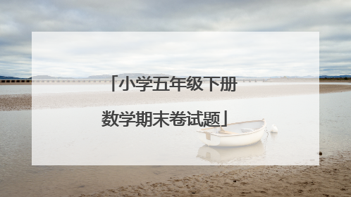 小学五年级下册数学期末卷试题