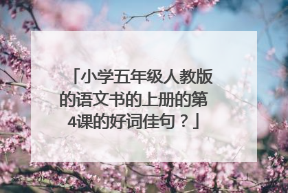 小学五年级人教版的语文书的上册的第4课的好词佳句?