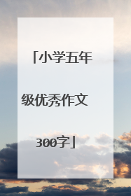 小学五年级优秀作文300字