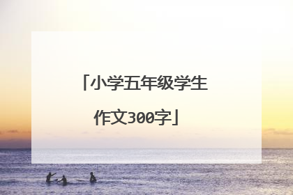 小学五年级学生作文300字