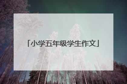 小学五年级学生作文