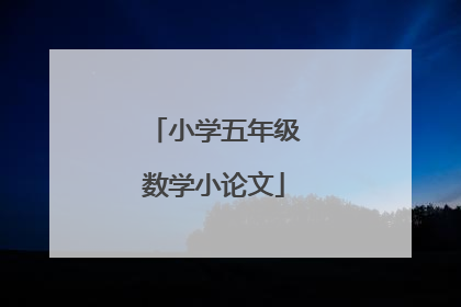 小学五年级数学小论文