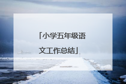 小学五年级语文工作总结