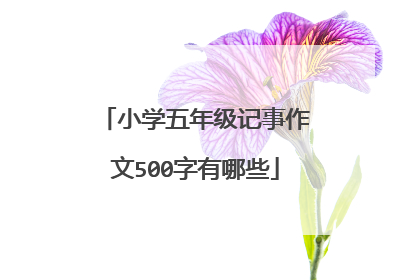小学五年级记事作文500字有哪些