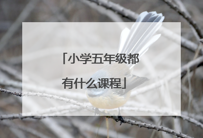 小学五年级都有什么课程