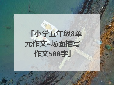 小学五年级8单元作文~场面描写作文500字