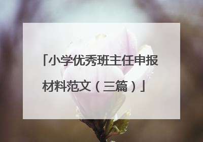 小学优秀班主任申报材料范文(三篇)