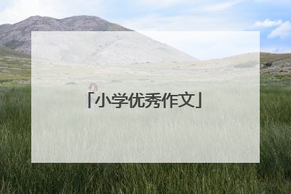 小学优秀作文