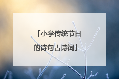 小学传统节日的诗句古诗词