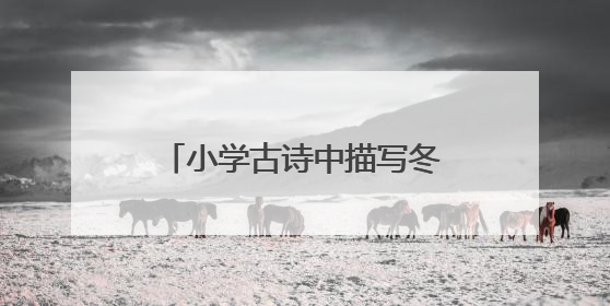 小学古诗中描写冬天的诗句有哪些?