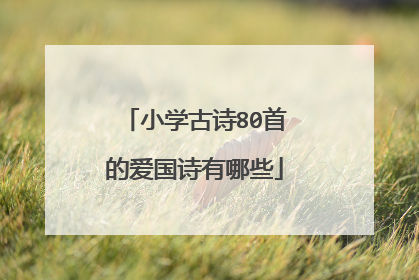 小学古诗80首的爱国诗有哪些