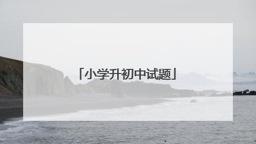 小学升初中试题