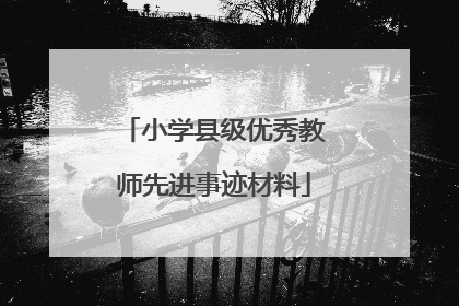 小学县级优秀教师先进事迹材料